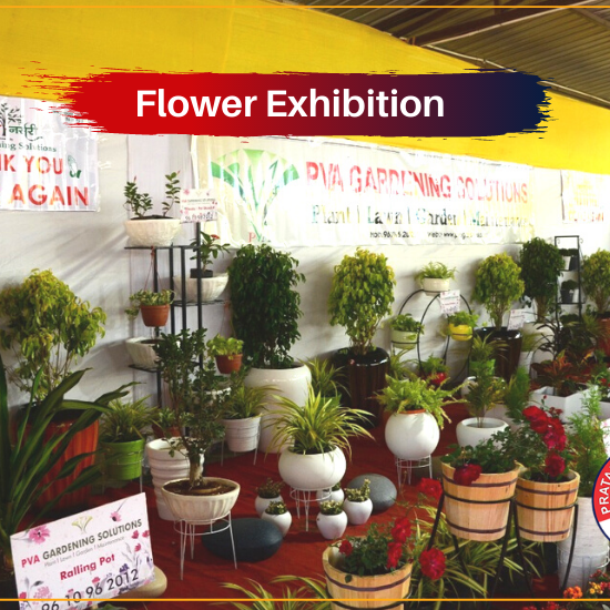 Flower Exhibition